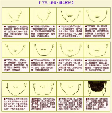 下巴厚道面相|厚道，從面相到醫學的探討┃Zenyum TW